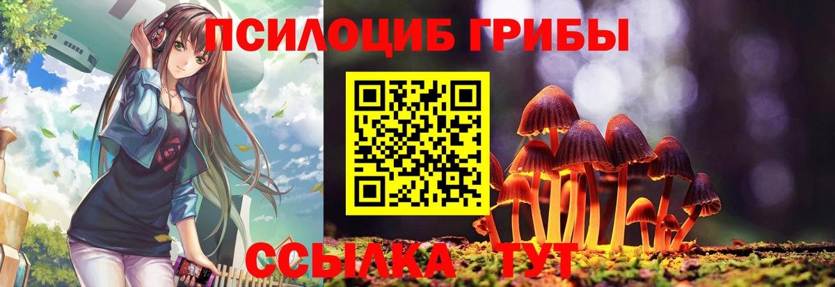 Псилоцибиновые грибы Cubensis Новочебоксарск