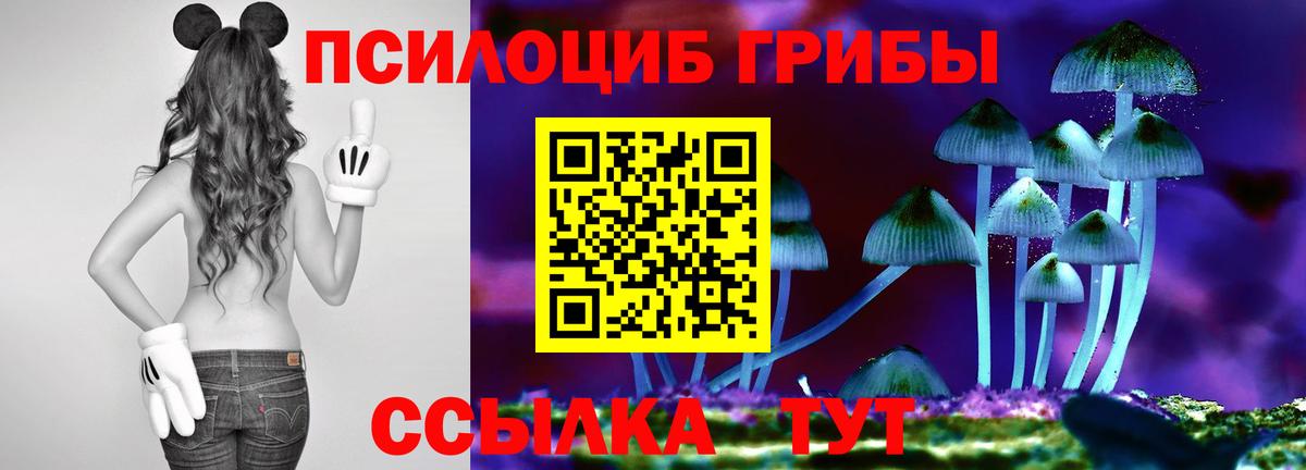 Новочебоксарск  Псилоцибиновые грибы MAGIC MUSHROOMS  продажа наркотиков  Вход с VPN 
